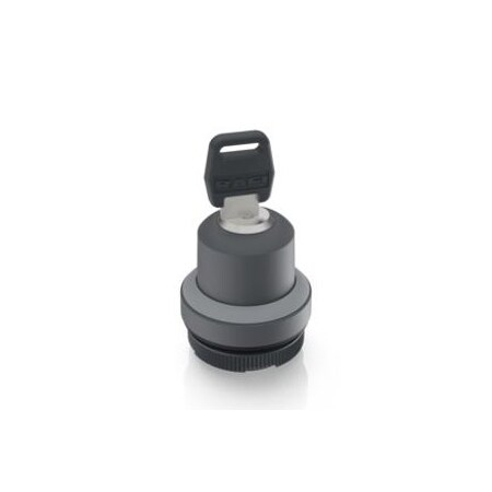 Rafi Switch Actuators Rafix 22 Fs Plus Keylock Switch 90 1.30.255.221/0800